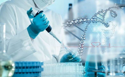 對全球市場具有影響力的醫(yī)藥企業(yè)